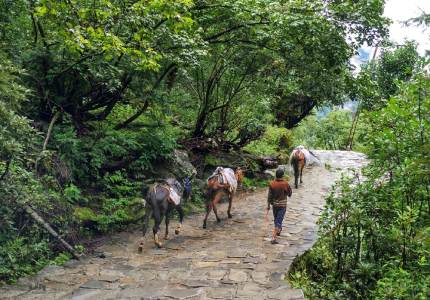 Chandigarh to Hemkunt Sahib Pilgrimage Expedition