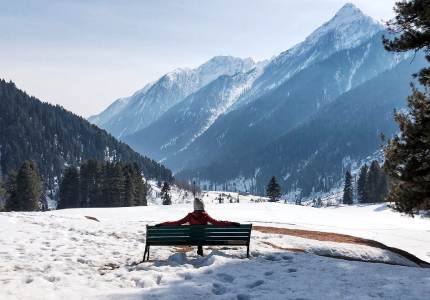 Delhi to Srinagar, Pahalgam & Betaab Valley Getaway