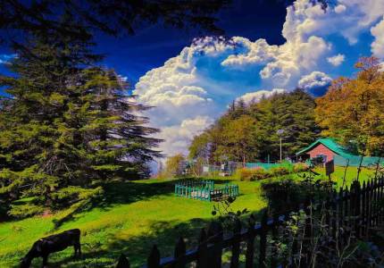 Pathankot to Dalhousie & Dharamshala – 3-Destination Nature Escape Tour