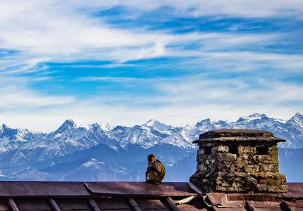 Pathankot to Shimla, Manali, Dharamshala & Dalhousie – Himachal Grand Tour